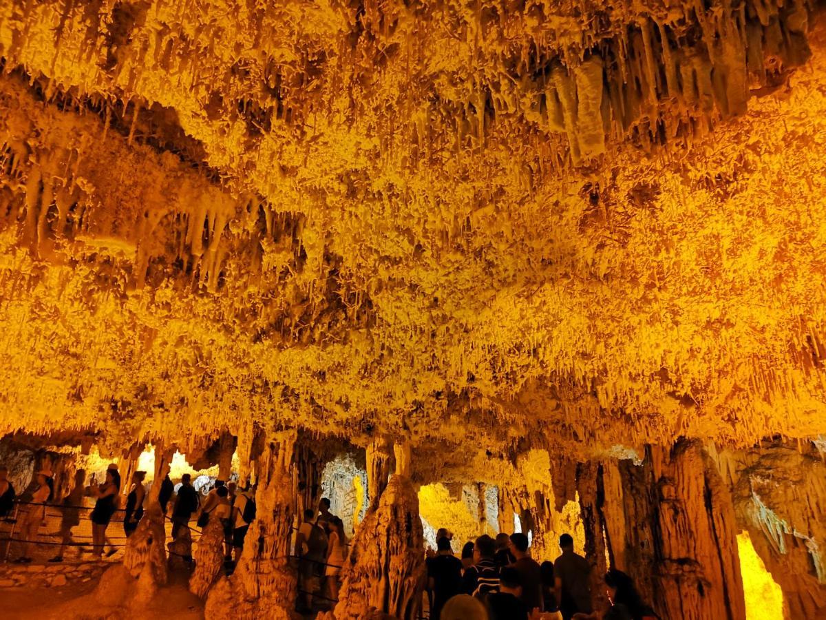 Alghermanzoni ألغيرو المظهر الخارجي الصورة